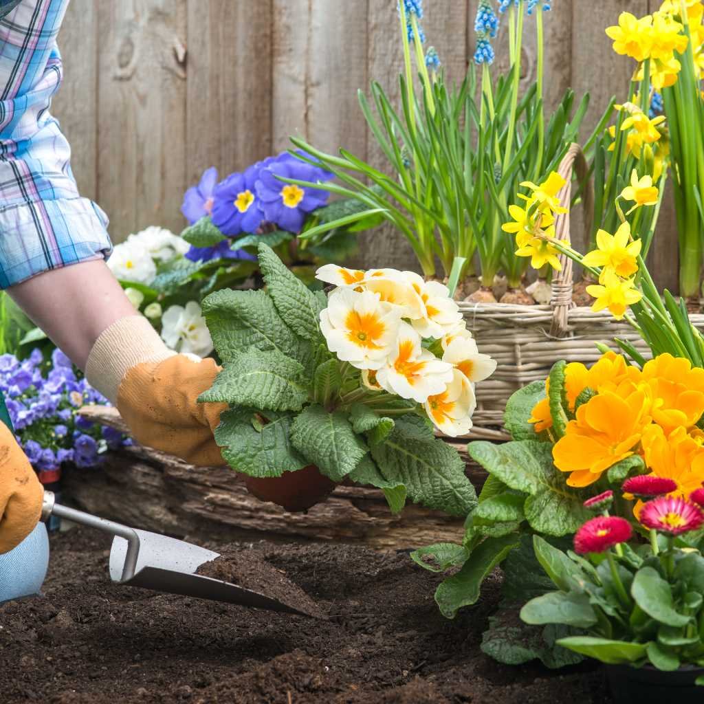 Guía de jardinería